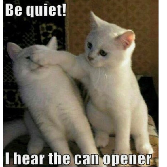 CLOSED Game! JOIN New Follow Game! 🌷💕 - Picture 3 of 16